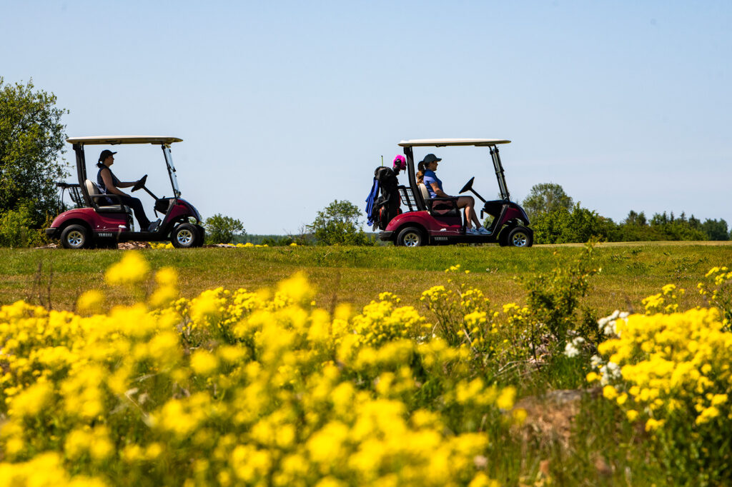 Estonian Golf & Country Club golfidemo